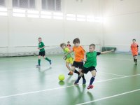IMG_9926